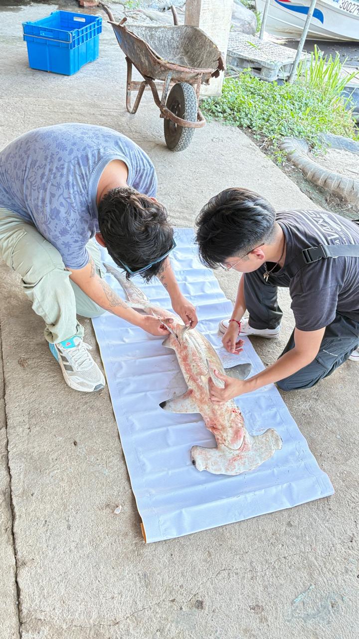 Exposición fotográfica